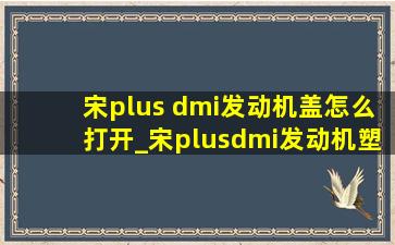 宋plus dmi发动机盖怎么打开_宋plusdmi发动机塑料盖怎么打开